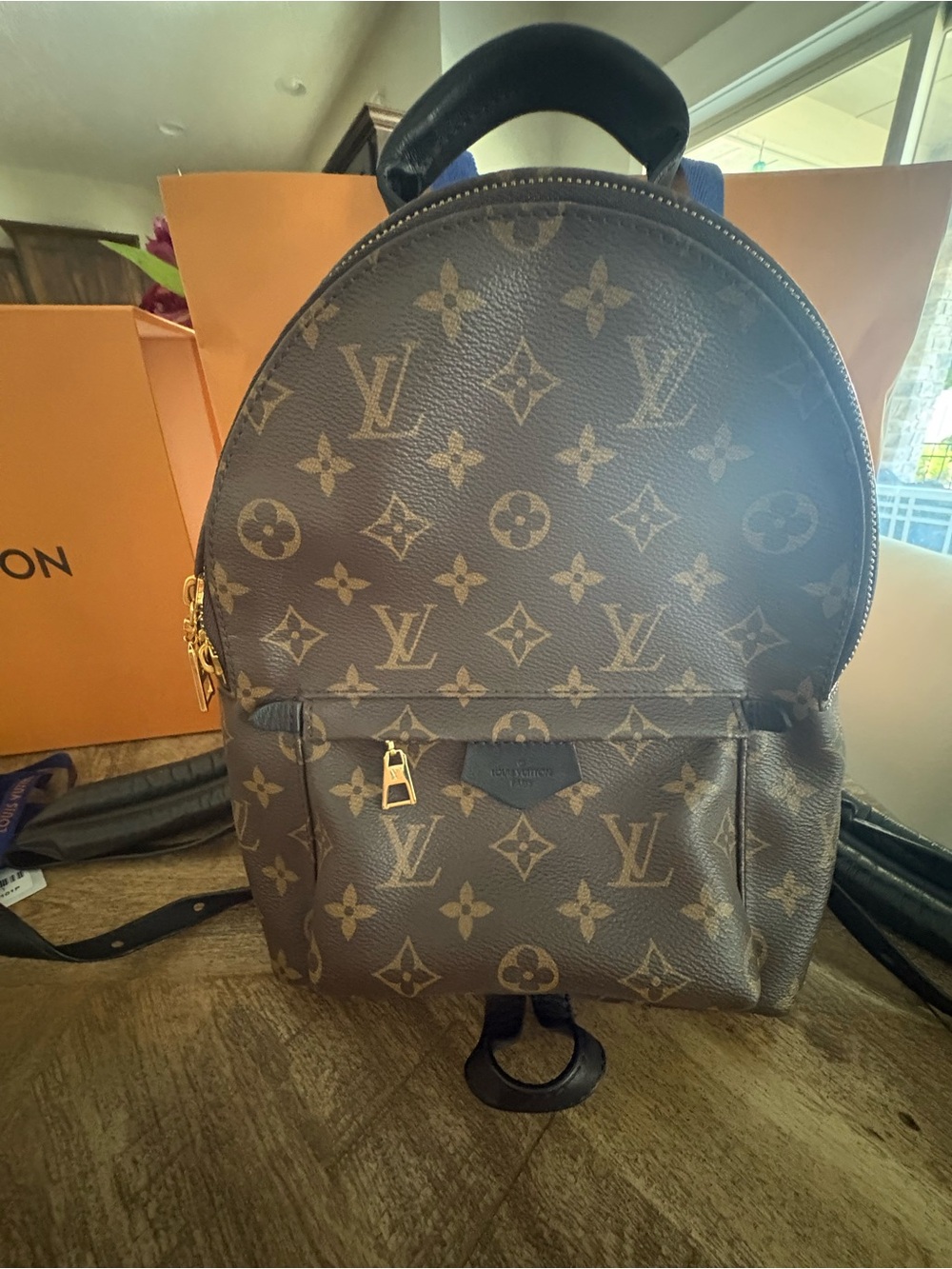 Louis Vuitton Monogram Canvas Palm Springs Backpack PM - Picture 12 of 16